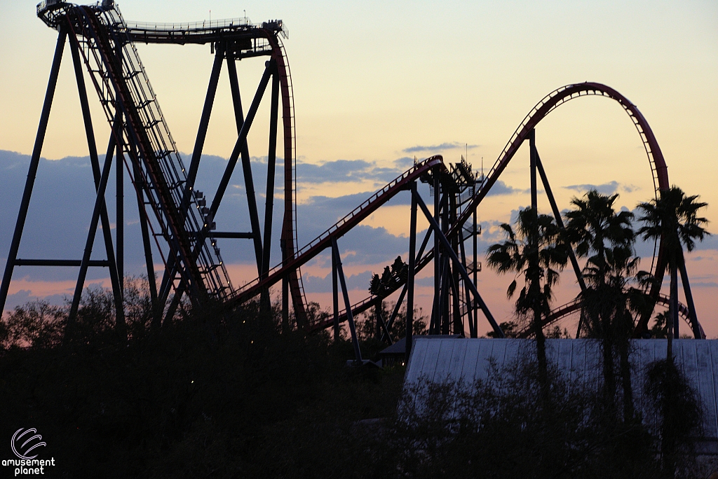 SheiKra