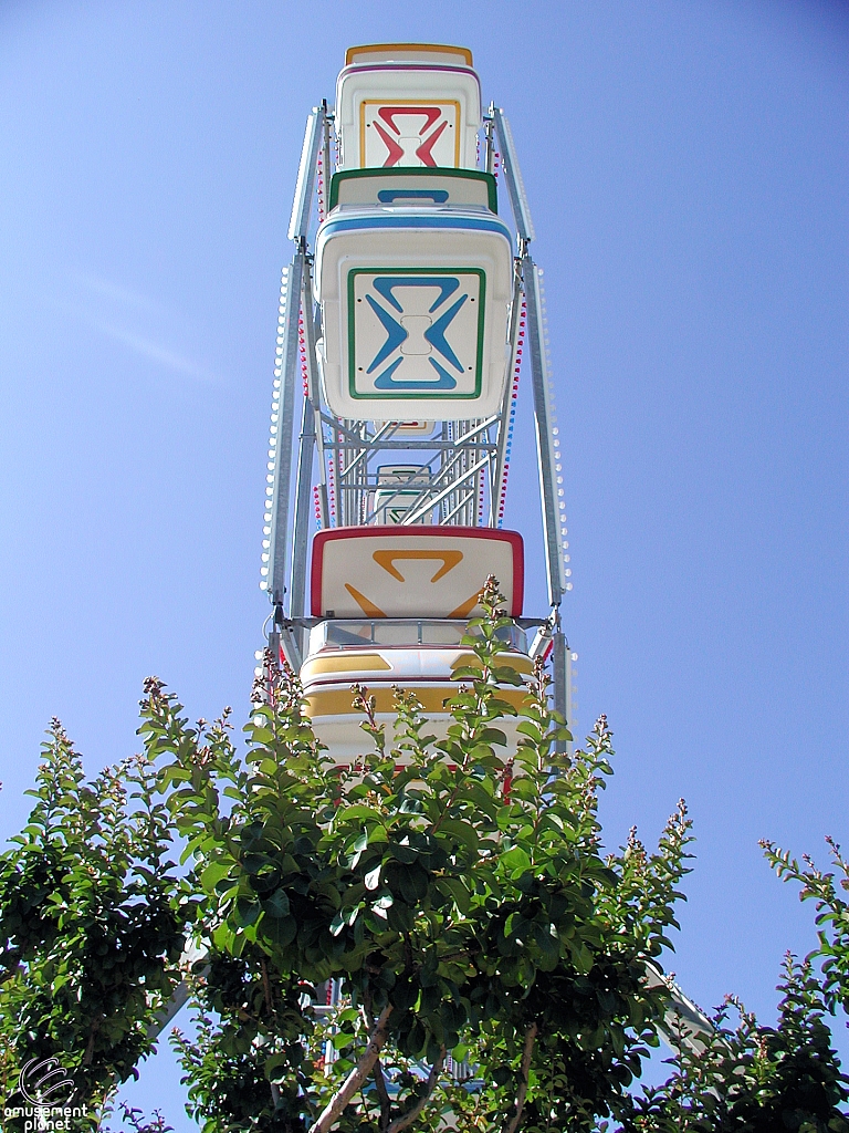 Electric Star Ferris Wheel