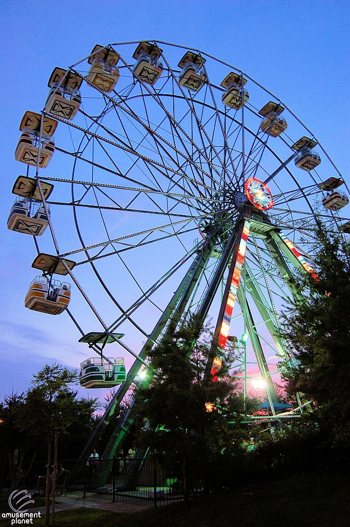 Electric Star Ferris Wheel