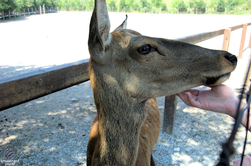 Marineland of Canada