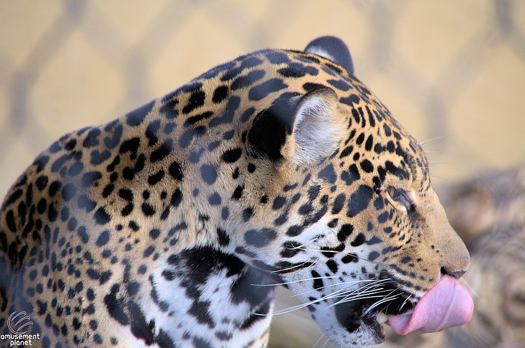 San Diego Zoo