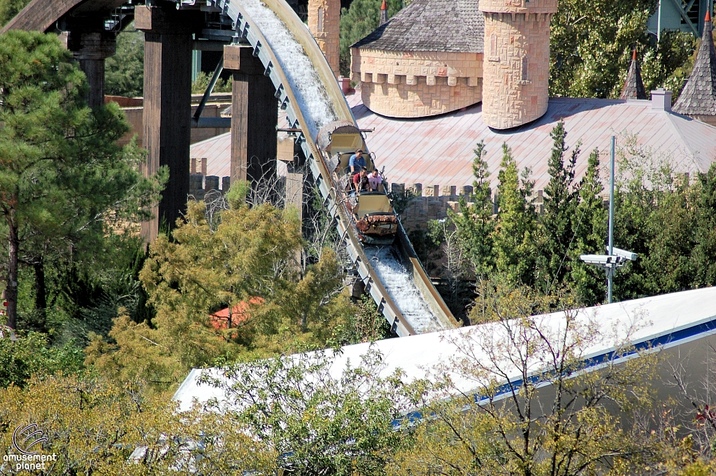 Bugs' White Water Rapids