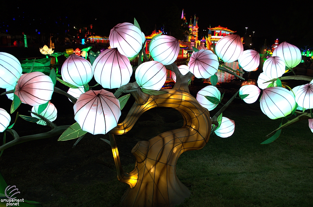 Chinese Lantern Festival