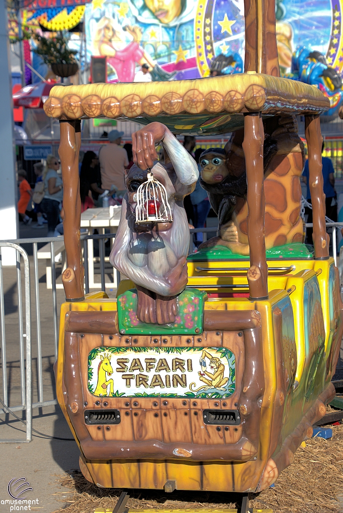 Safari Train