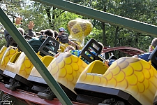 Rattlesnake Coaster