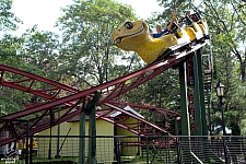 Rattlesnake Coaster