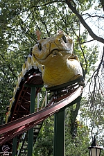 Rattlesnake Coaster