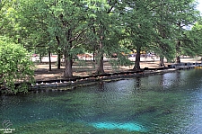 Aquarena Springs