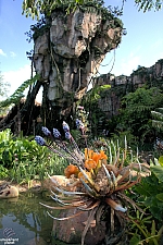 Pandora: The World of Avatar