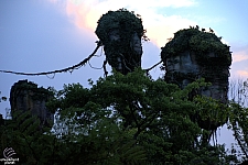 Pandora: The World of Avatar