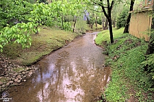 Dollywood