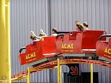 Cactus Coaster