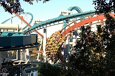 Dragon Challenge