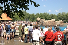 Marineland of Canada