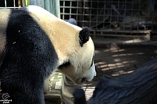 San Diego Zoo